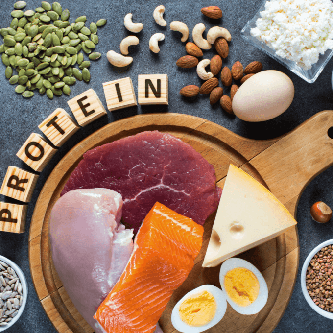 protéines en nutrition sportive